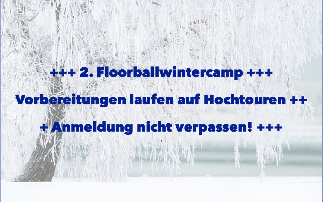 2. Floorballwintercamp