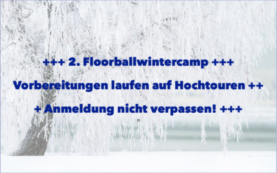 2. Floorballwintercamp