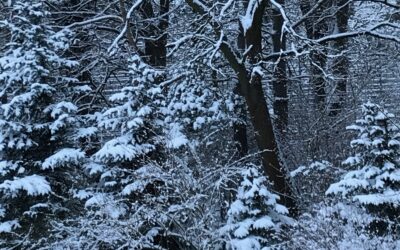 Die Winterferien sind kurz. Du bist nur ein Wintercamp von guter Laune entfernt.