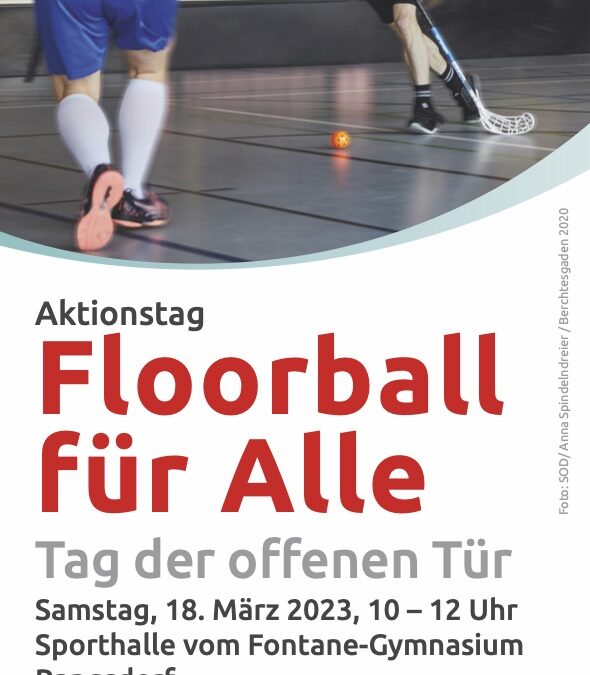 Inklusiver Floorball-Aktionstag